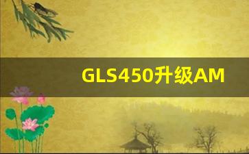 GLS450升级AMG63,gls63 amg2023款价格